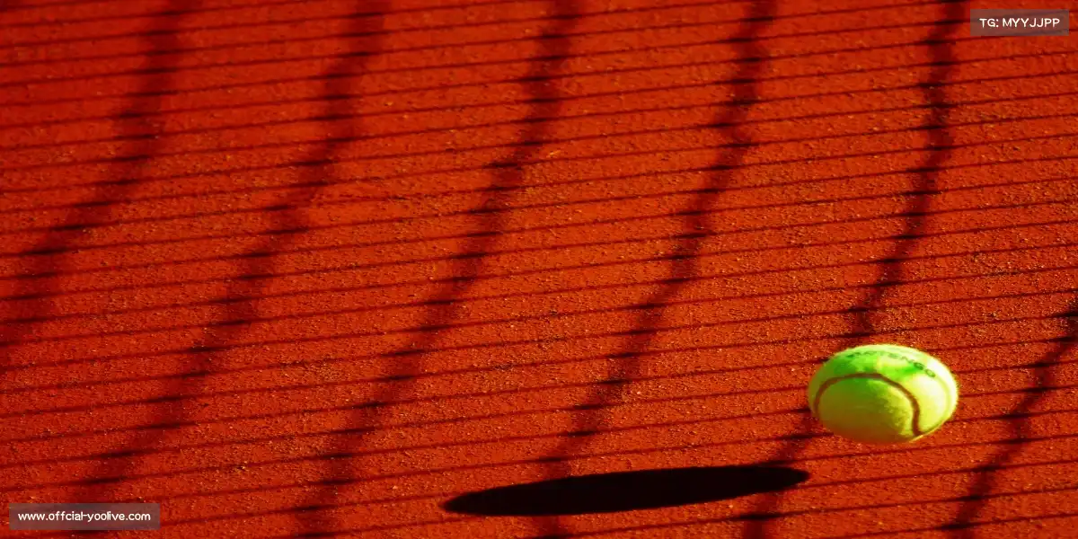 优直播官网——🏃‍♀️🐆 变速冲刺，猎豹突袭！